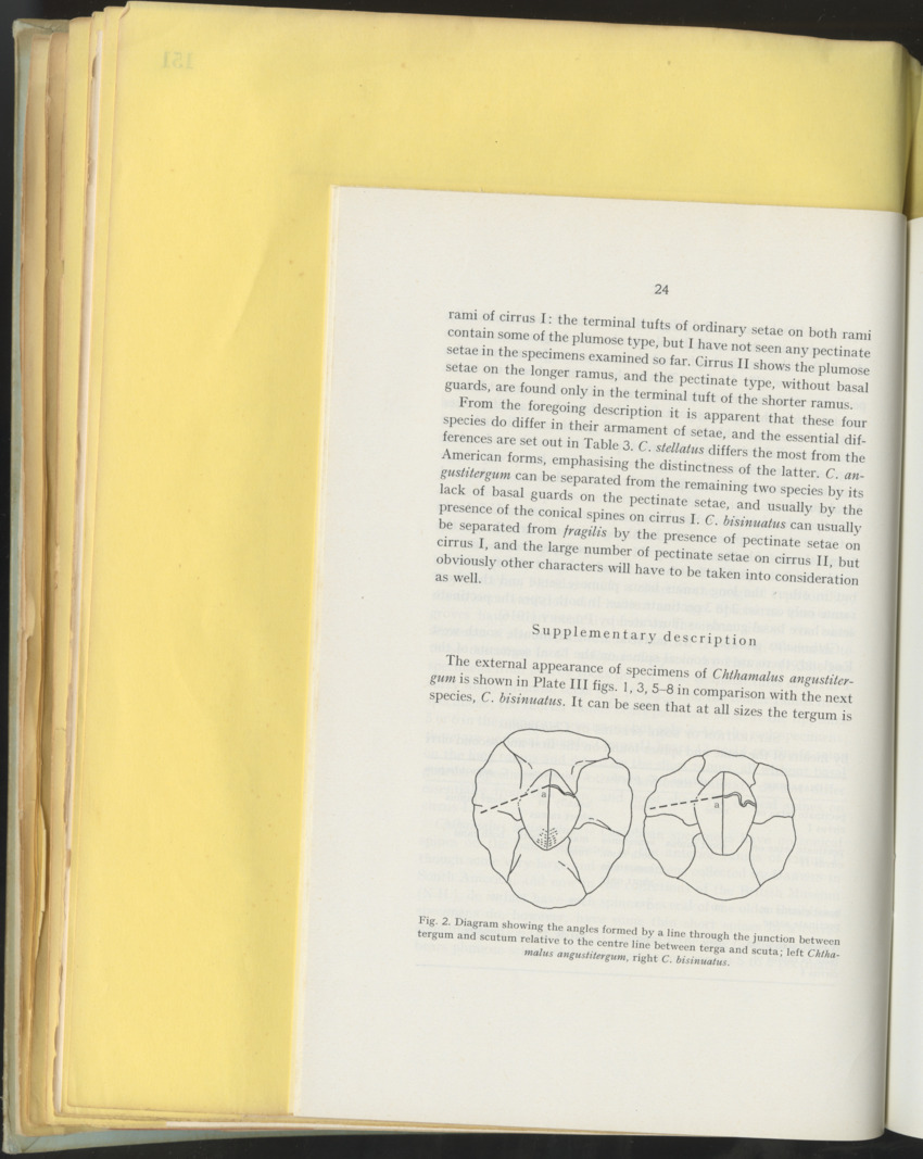 Carmabi Collected Papers Volume 10 - Nos. 141-169, 1973-1975 - New Page