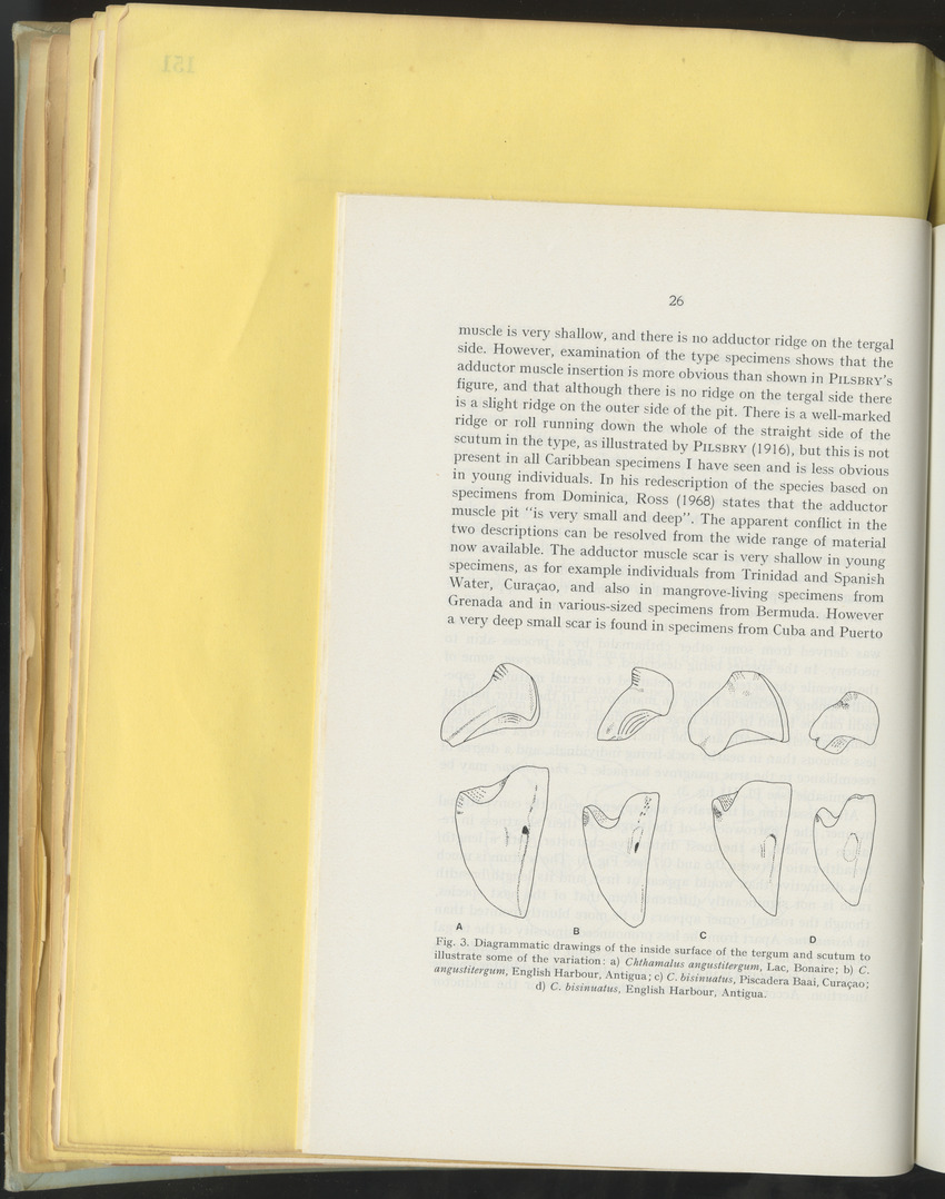 Carmabi Collected Papers Volume 10 - Nos. 141-169, 1973-1975 - New Page