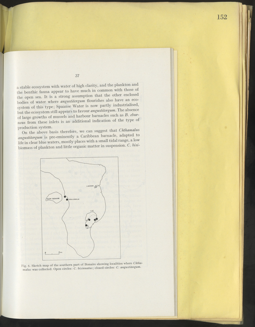 Carmabi Collected Papers Volume 10 - Nos. 141-169, 1973-1975 - New Page