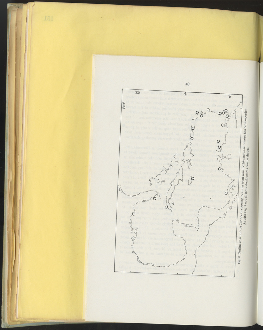 Carmabi Collected Papers Volume 10 - Nos. 141-169, 1973-1975 - New Page