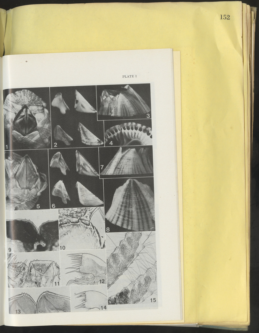 Carmabi Collected Papers Volume 10 - Nos. 141-169, 1973-1975 - New Page