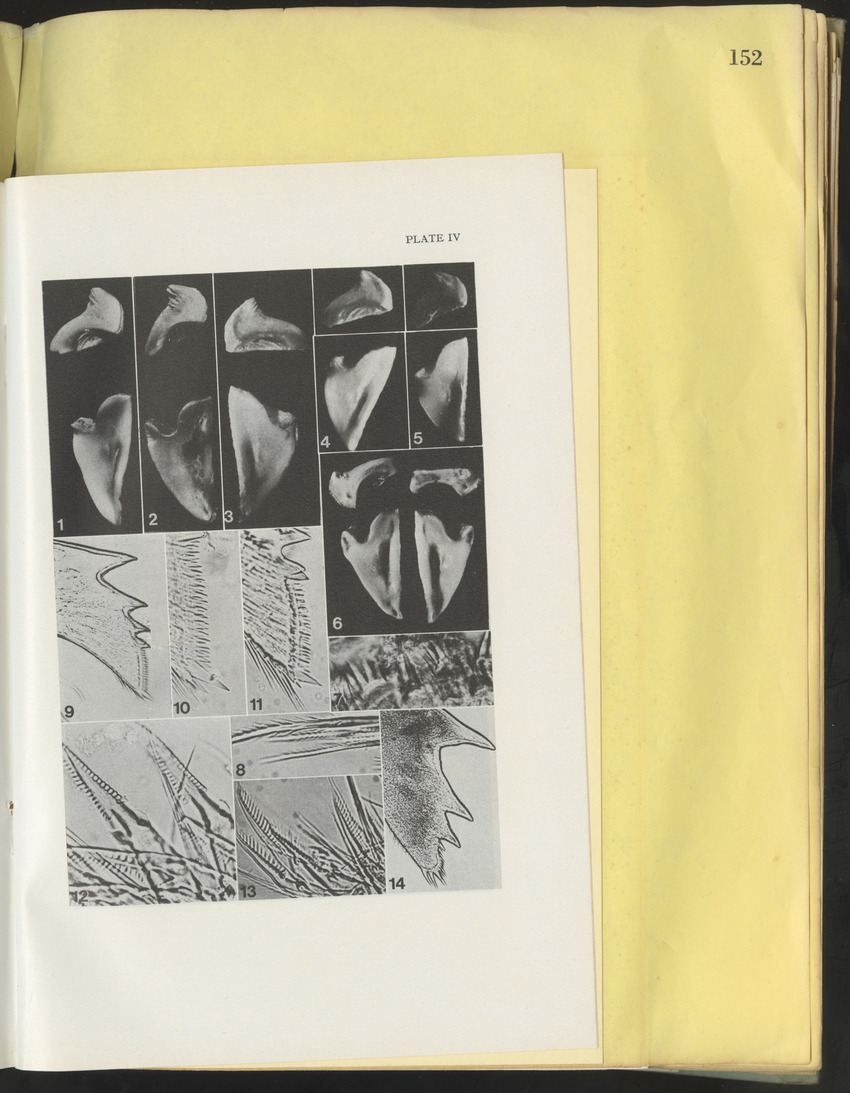 Carmabi Collected Papers Volume 10 - Nos. 141-169, 1973-1975 - New Page