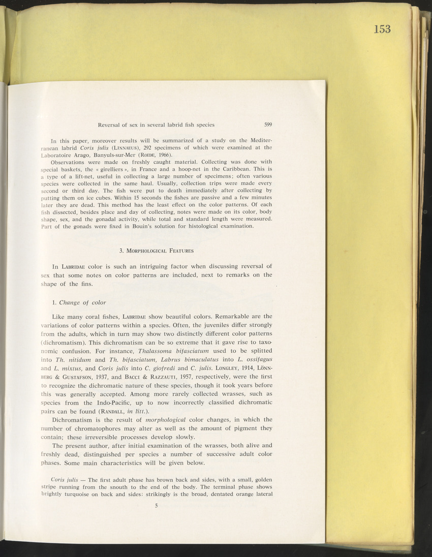 Carmabi Collected Papers Volume 10 - Nos. 141-169, 1973-1975 - New Page
