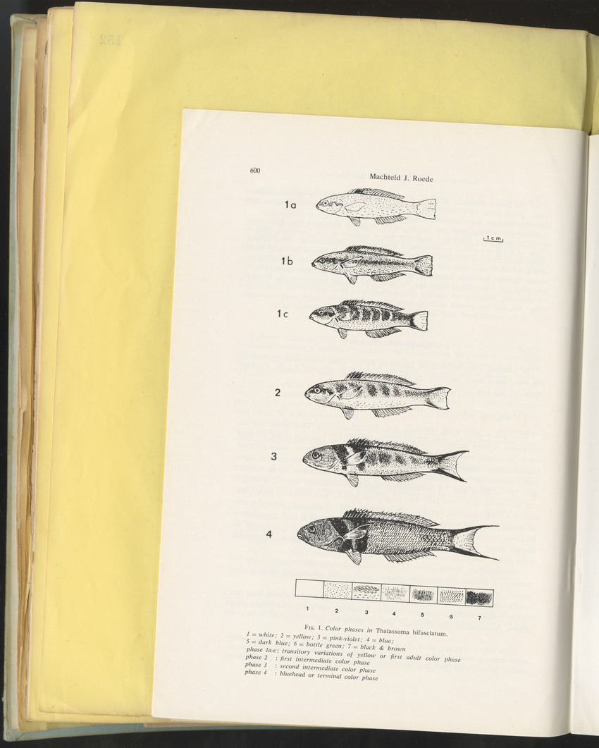 Carmabi Collected Papers Volume 10 - Nos. 141-169, 1973-1975 - New Page