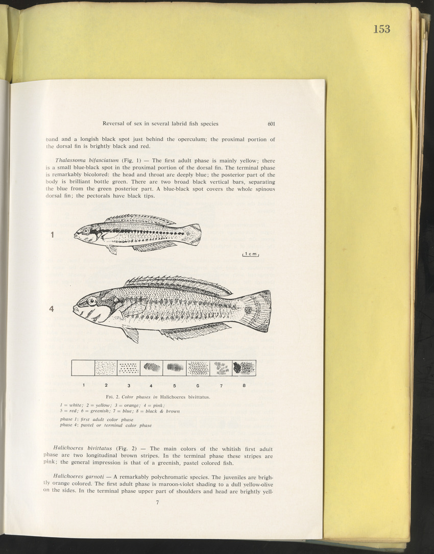Carmabi Collected Papers Volume 10 - Nos. 141-169, 1973-1975 - New Page