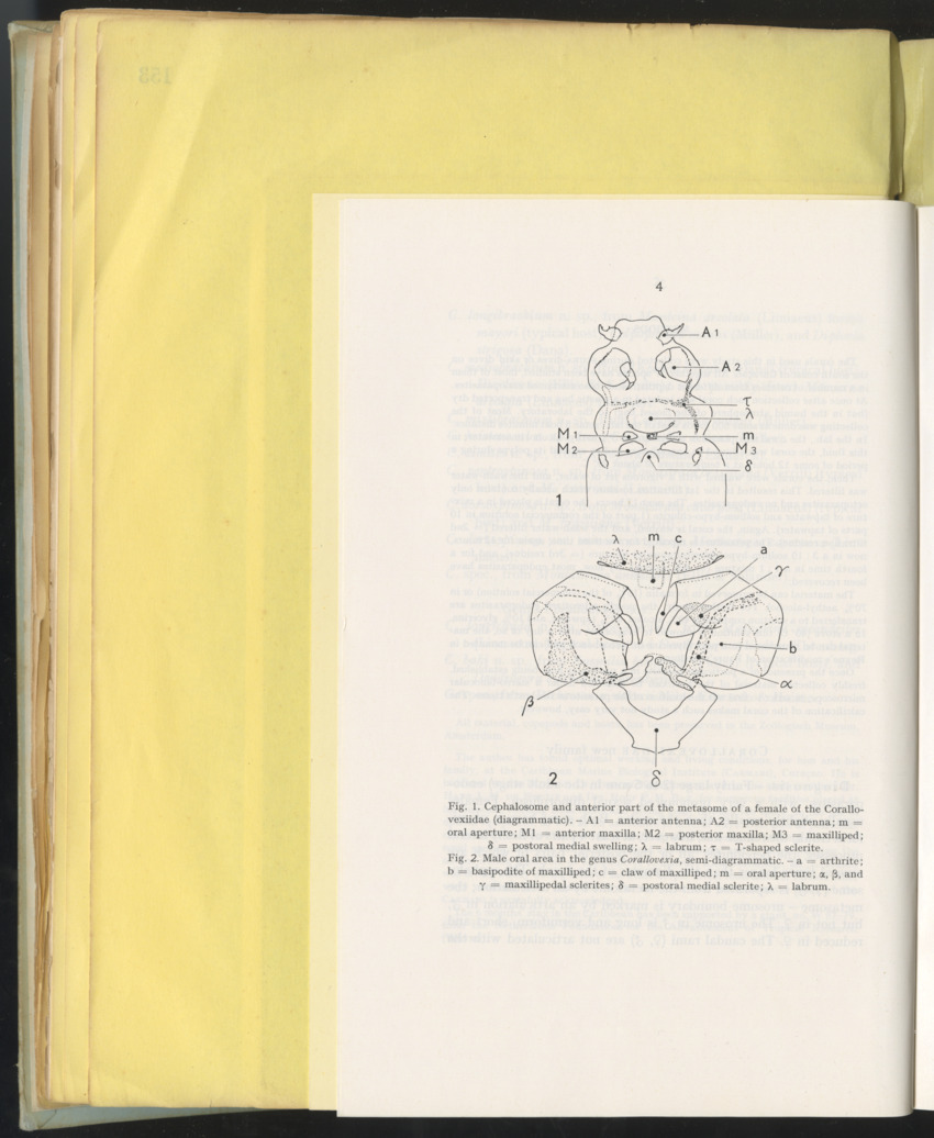Carmabi Collected Papers Volume 10 - Nos. 141-169, 1973-1975 - New Page
