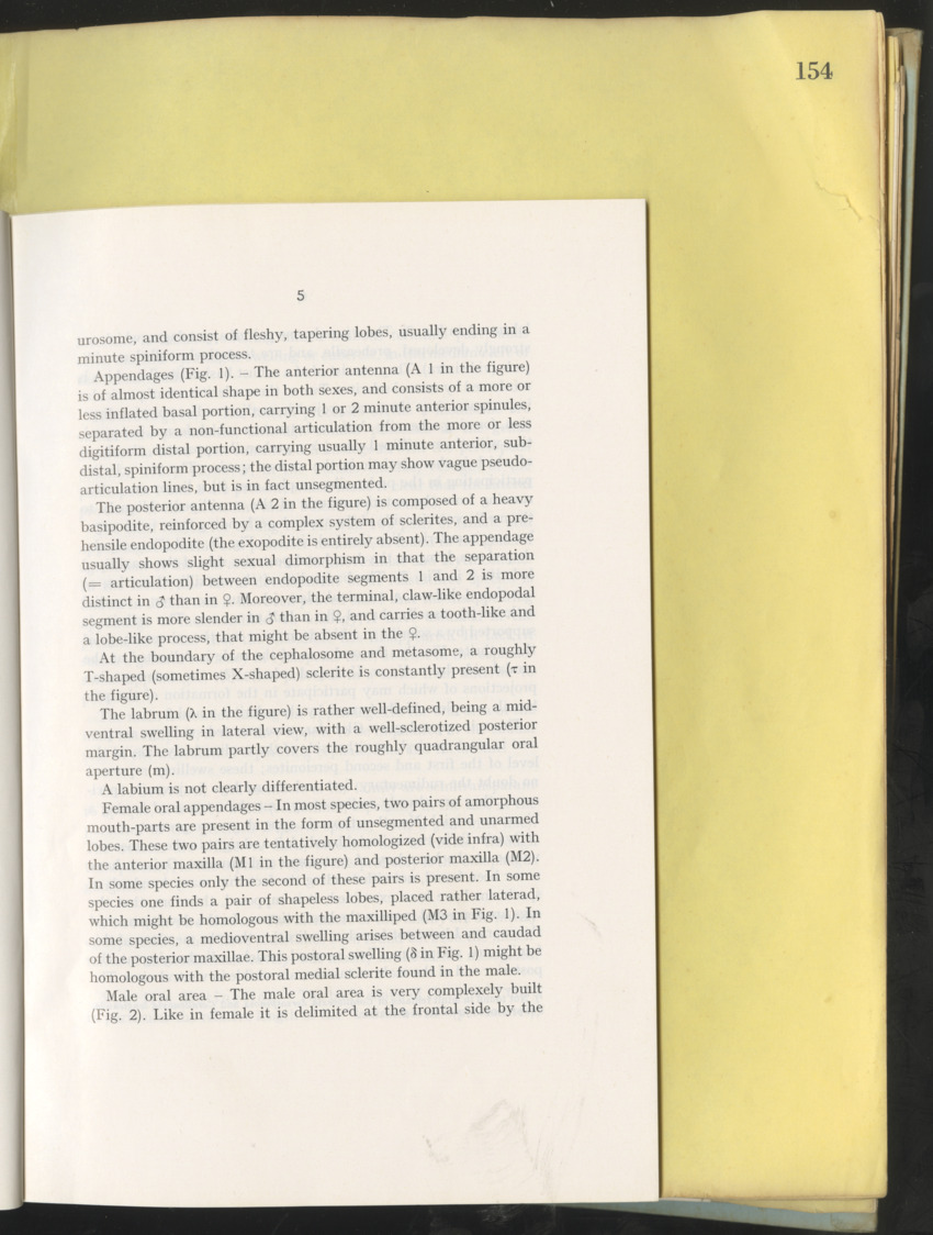 Carmabi Collected Papers Volume 10 - Nos. 141-169, 1973-1975 - New Page