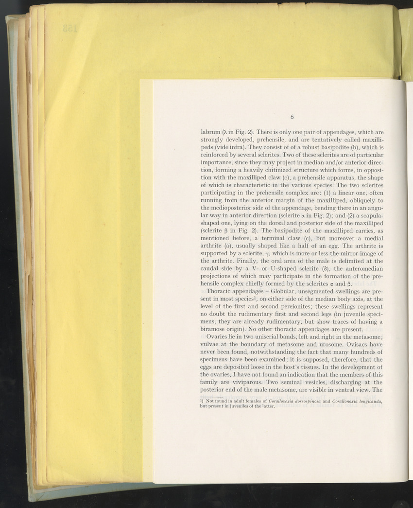 Carmabi Collected Papers Volume 10 - Nos. 141-169, 1973-1975 - New Page