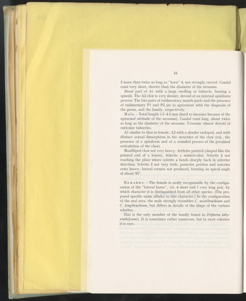 Carmabi Collected Papers Volume 10 - Nos. 141-169, 1973-1975 - New Page