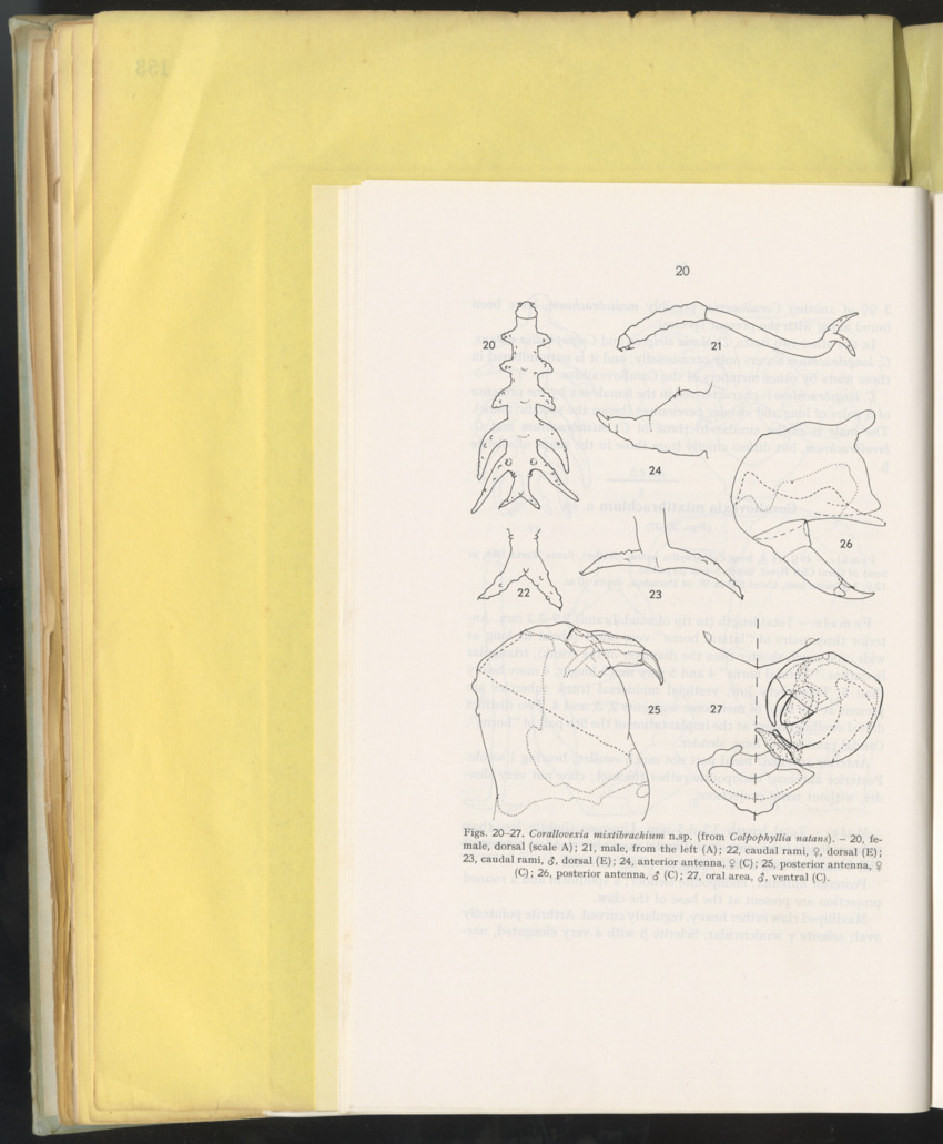 Carmabi Collected Papers Volume 10 - Nos. 141-169, 1973-1975 - New Page