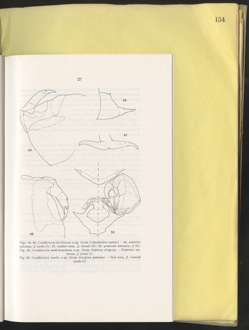 Carmabi Collected Papers Volume 10 - Nos. 141-169, 1973-1975 - New Page