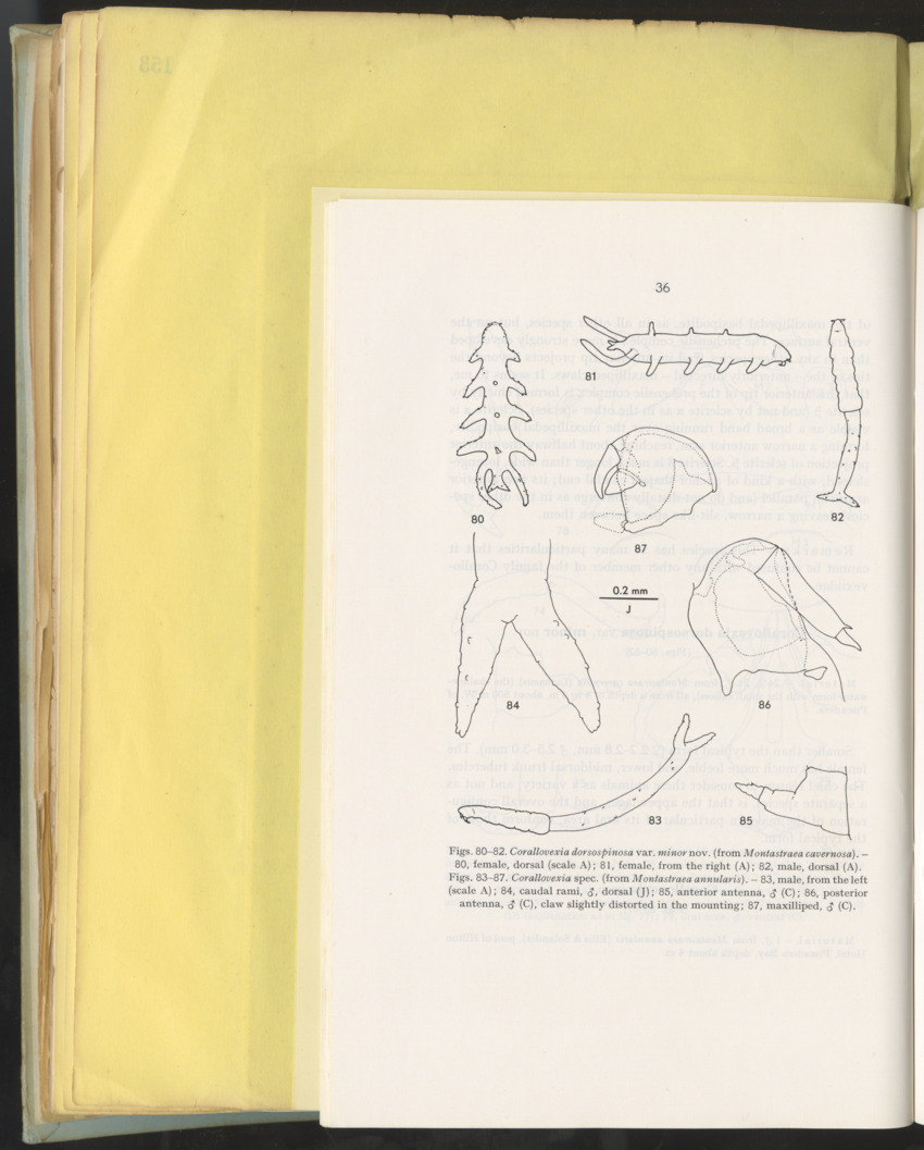 Carmabi Collected Papers Volume 10 - Nos. 141-169, 1973-1975 - New Page