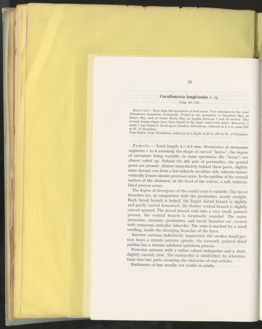 Carmabi Collected Papers Volume 10 - Nos. 141-169, 1973-1975 - New Page