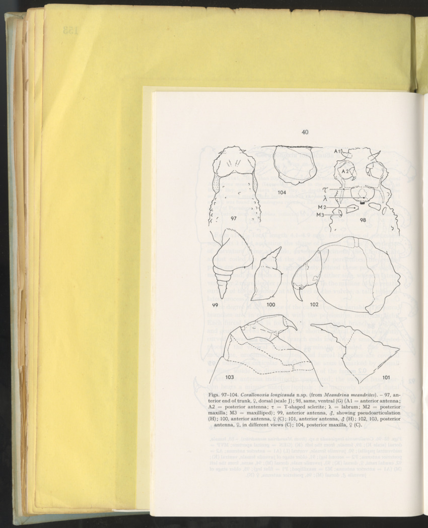 Carmabi Collected Papers Volume 10 - Nos. 141-169, 1973-1975 - New Page