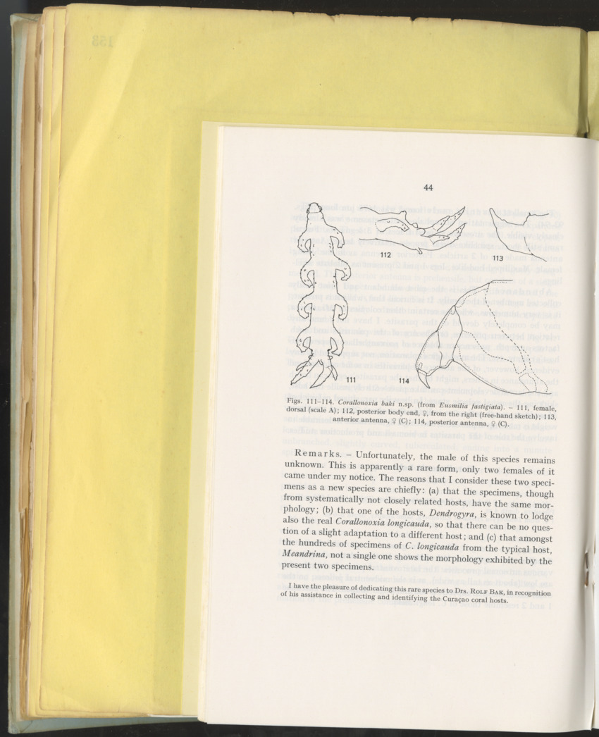Carmabi Collected Papers Volume 10 - Nos. 141-169, 1973-1975 - New Page