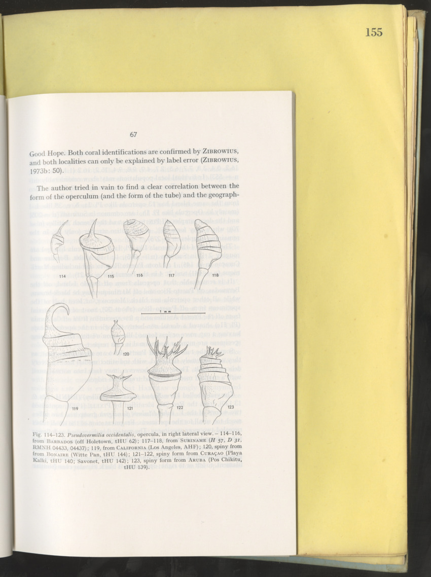 Carmabi Collected Papers Volume 10 - Nos. 141-169, 1973-1975 - New Page