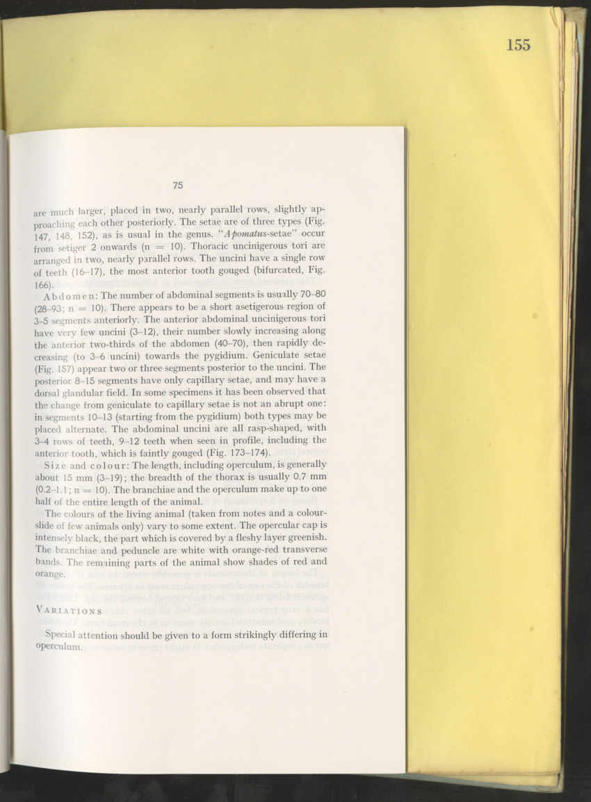 Carmabi Collected Papers Volume 10 - Nos. 141-169, 1973-1975 - New Page