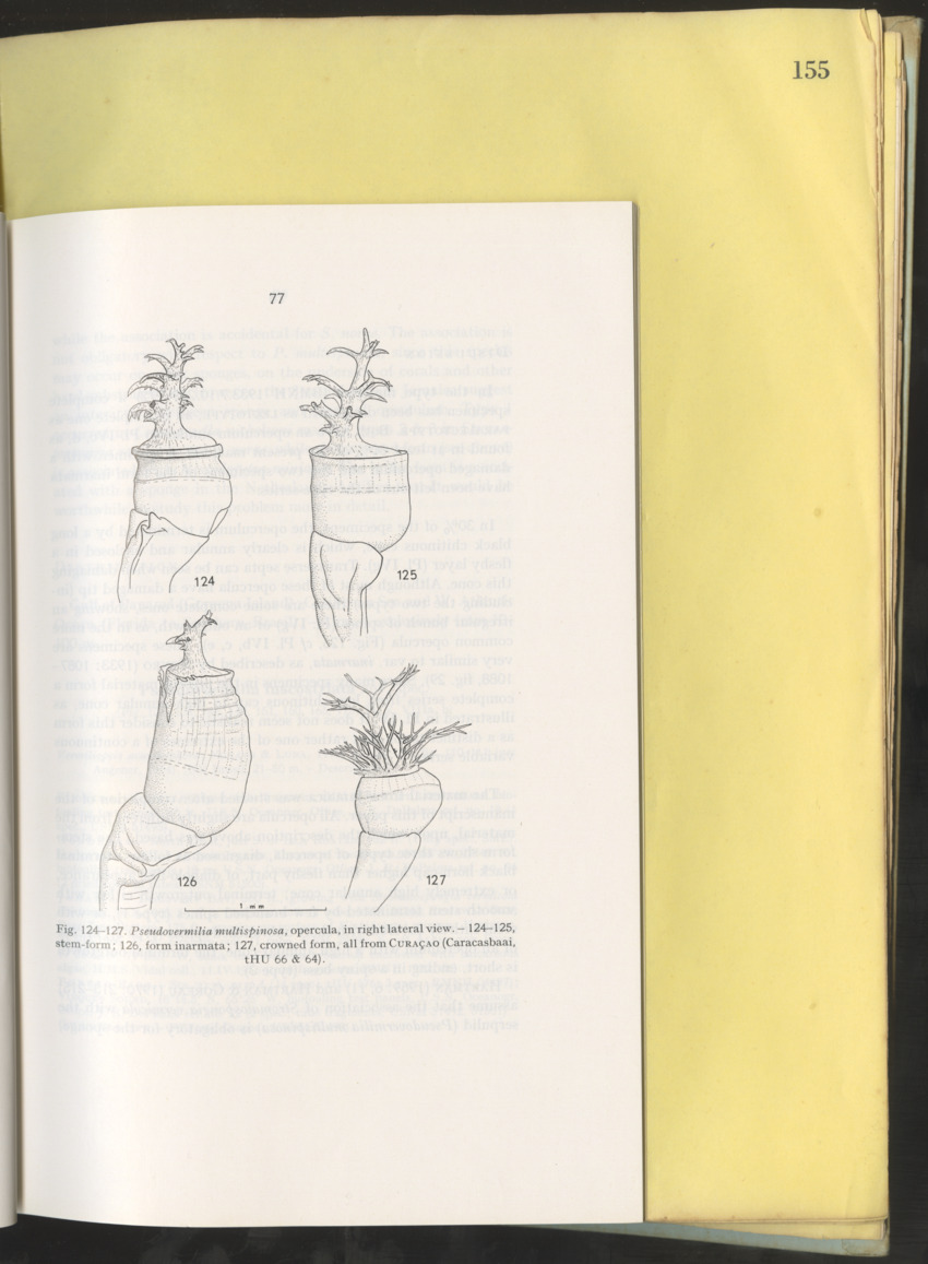 Carmabi Collected Papers Volume 10 - Nos. 141-169, 1973-1975 - New Page