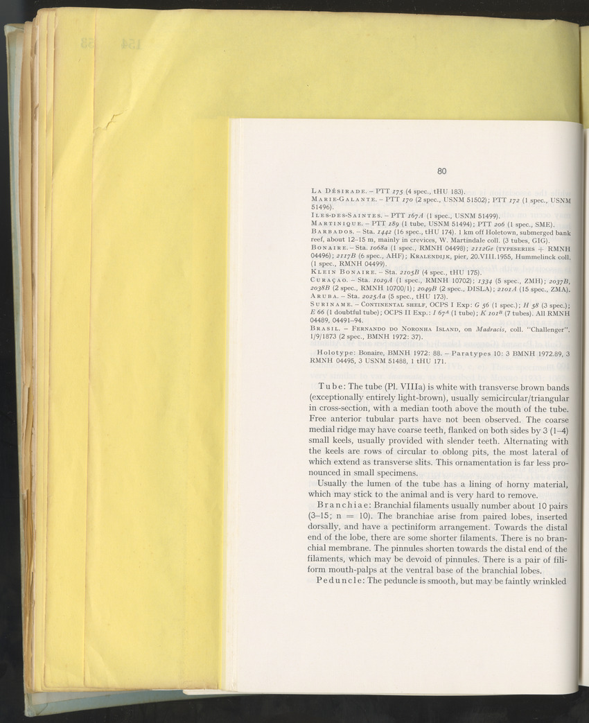 Carmabi Collected Papers Volume 10 - Nos. 141-169, 1973-1975 - New Page