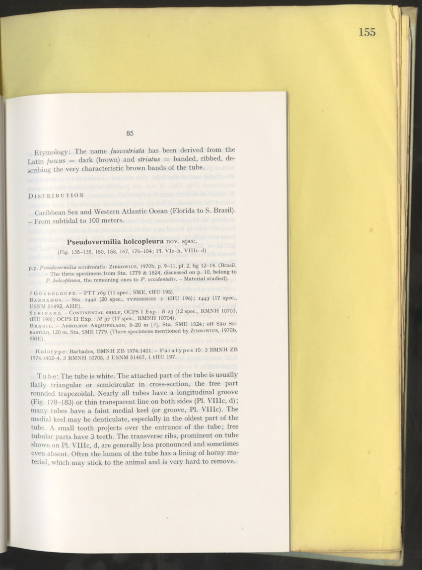 Carmabi Collected Papers Volume 10 - Nos. 141-169, 1973-1975 - New Page