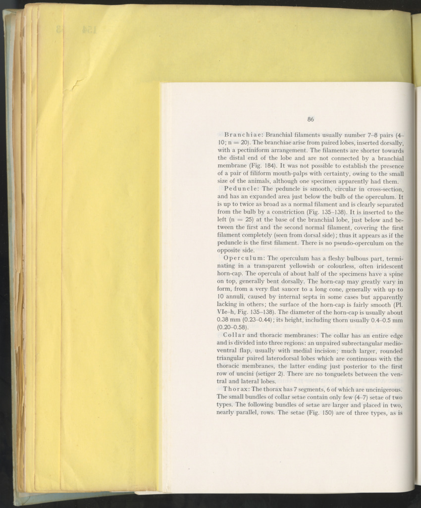 Carmabi Collected Papers Volume 10 - Nos. 141-169, 1973-1975 - New Page