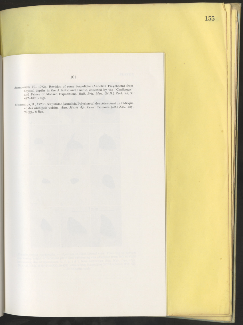 Carmabi Collected Papers Volume 10 - Nos. 141-169, 1973-1975 - New Page