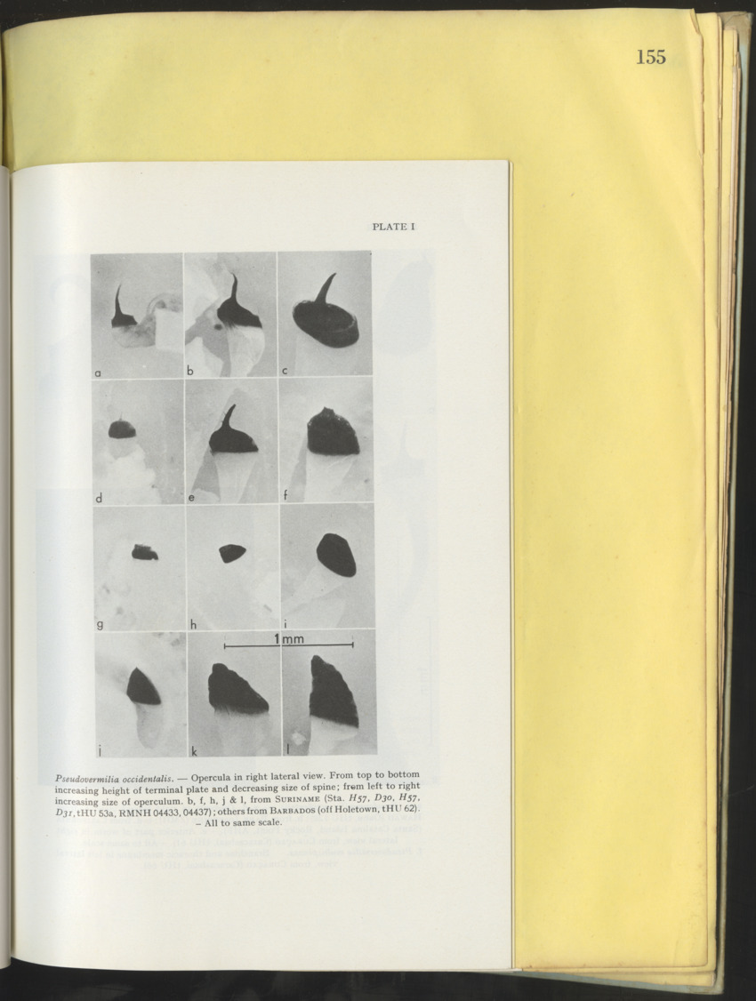 Carmabi Collected Papers Volume 10 - Nos. 141-169, 1973-1975 - New Page
