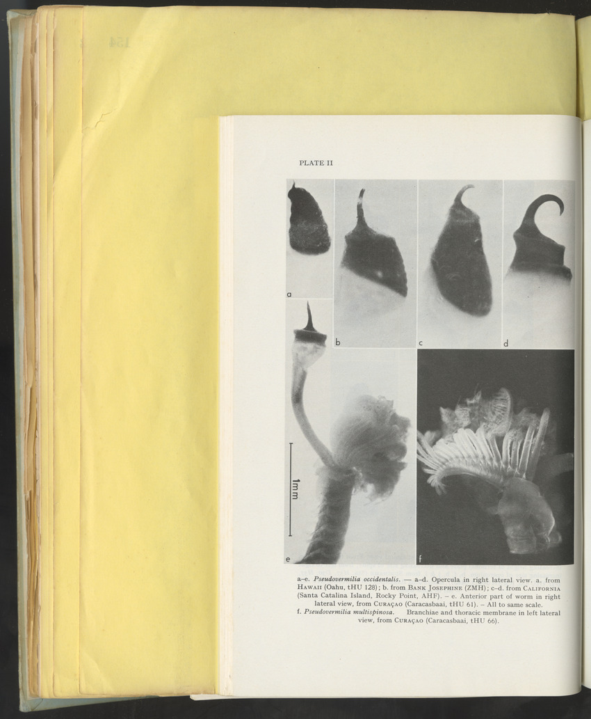 Carmabi Collected Papers Volume 10 - Nos. 141-169, 1973-1975 - New Page