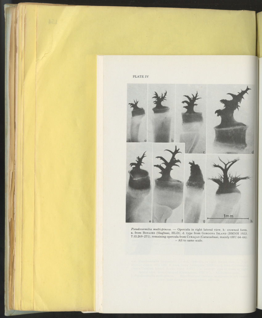 Carmabi Collected Papers Volume 10 - Nos. 141-169, 1973-1975 - New Page