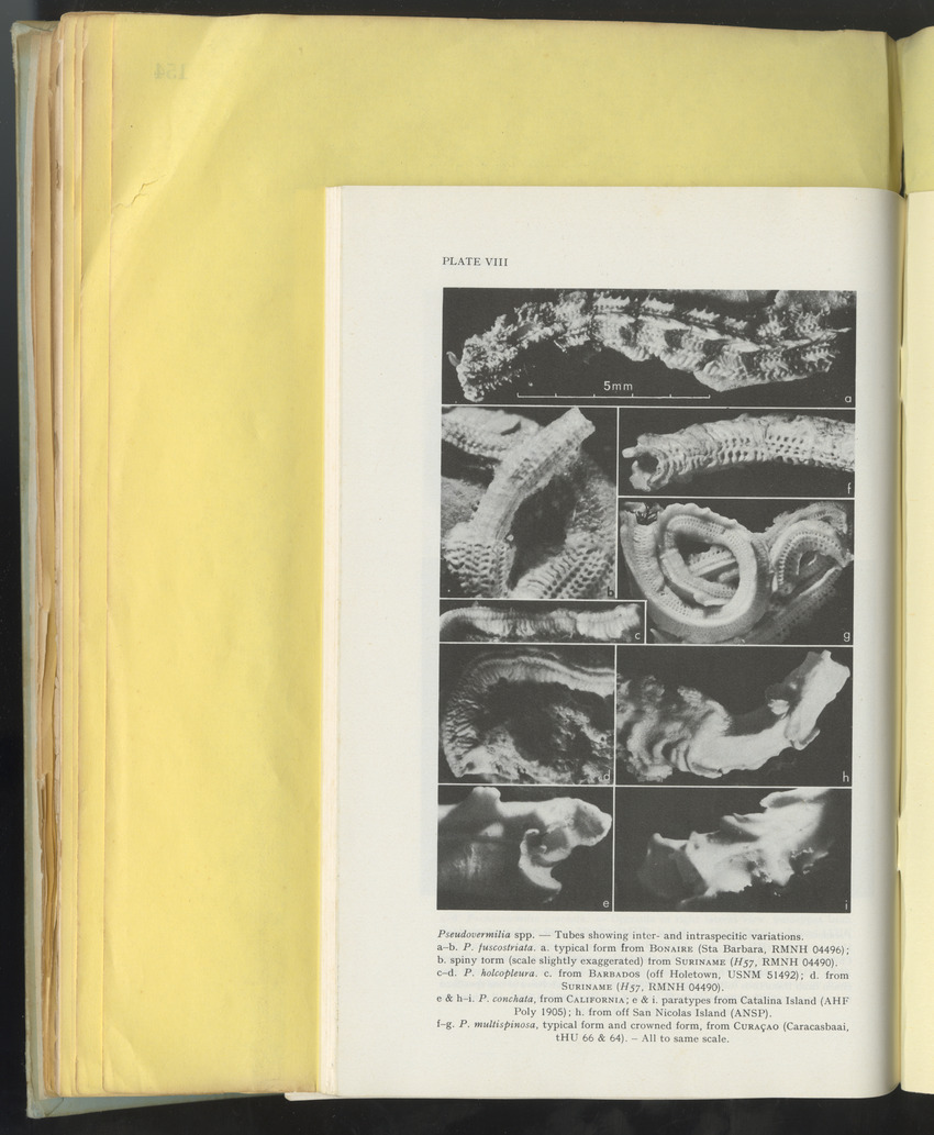 Carmabi Collected Papers Volume 10 - Nos. 141-169, 1973-1975 - New Page