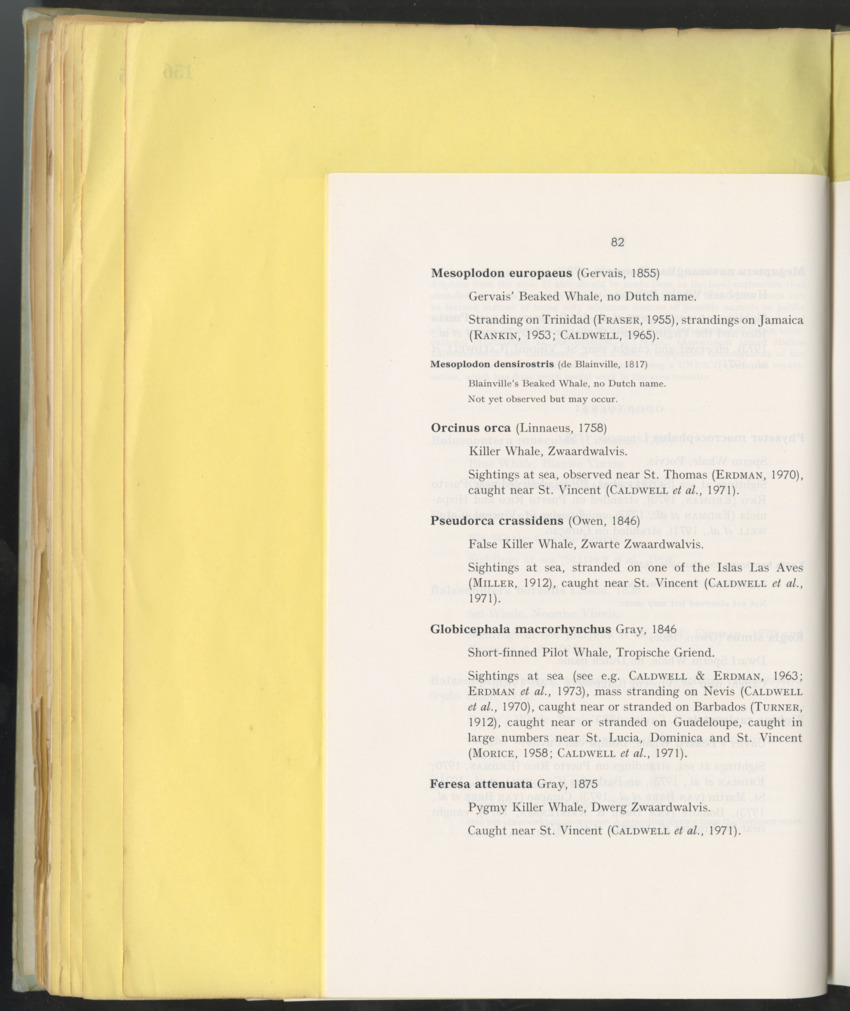Carmabi Collected Papers Volume 10 - Nos. 141-169, 1973-1975 - New Page