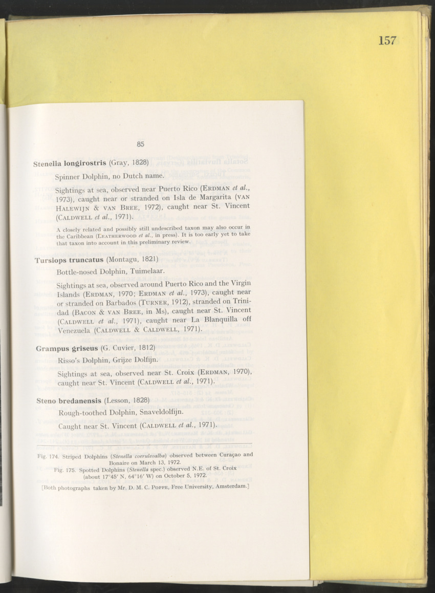 Carmabi Collected Papers Volume 10 - Nos. 141-169, 1973-1975 - New Page