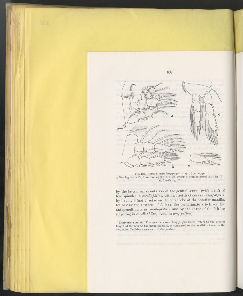 Carmabi Collected Papers Volume 10 - Nos. 141-169, 1973-1975 - New Page