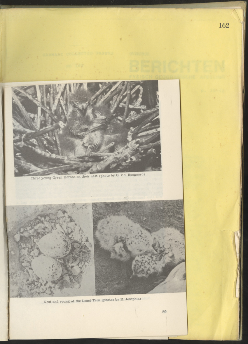 Carmabi Collected Papers Volume 10 - Nos. 141-169, 1973-1975 - New Page