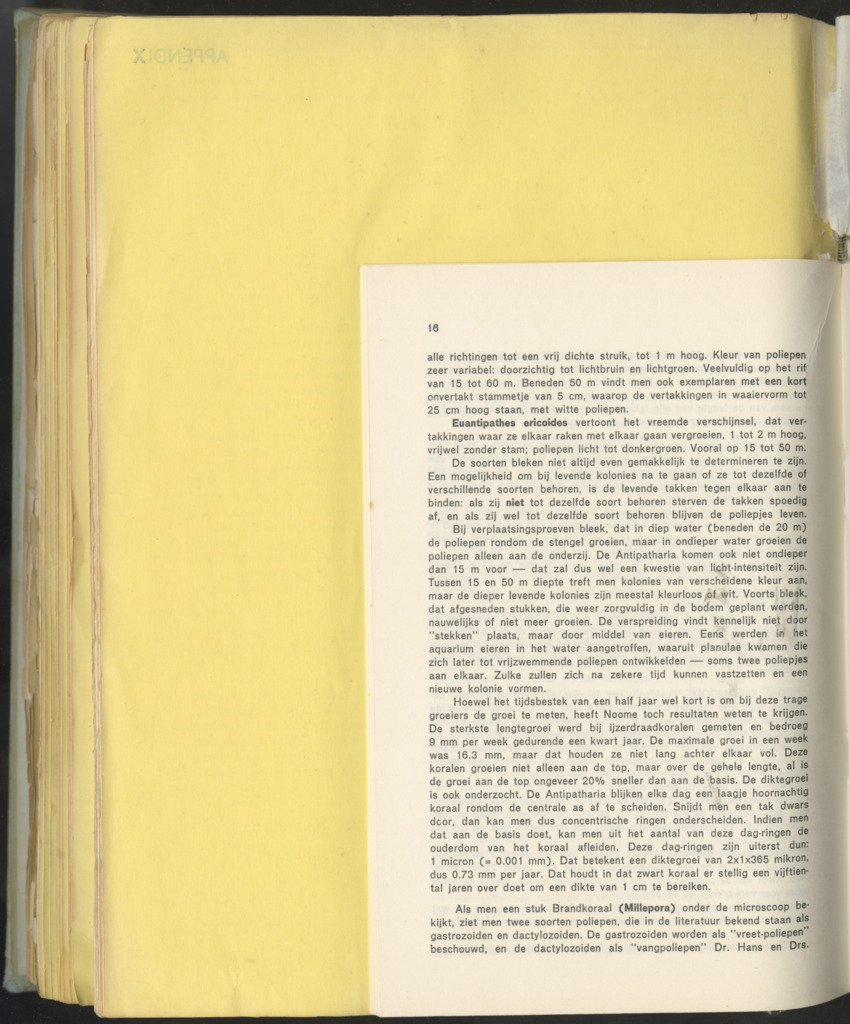 Carmabi Collected Papers Volume 10 - Nos. 141-169, 1973-1975 - New Page