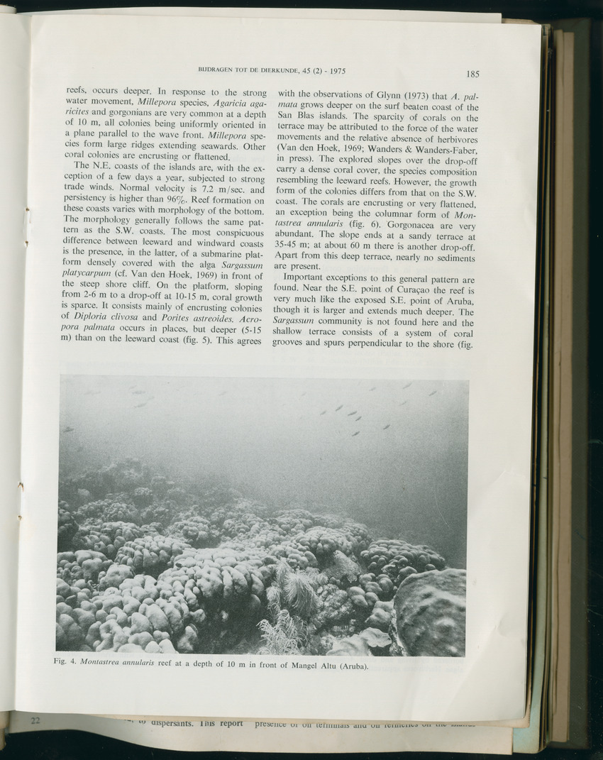 Carmabi Collected Papers Volume 11 - Nos. 170-193, 1975-1976 - Page 15