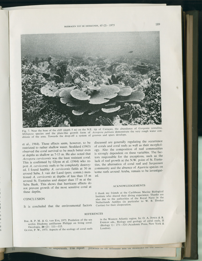 Carmabi Collected Papers Volume 11 - Nos. 170-193, 1975-1976 - Page 19