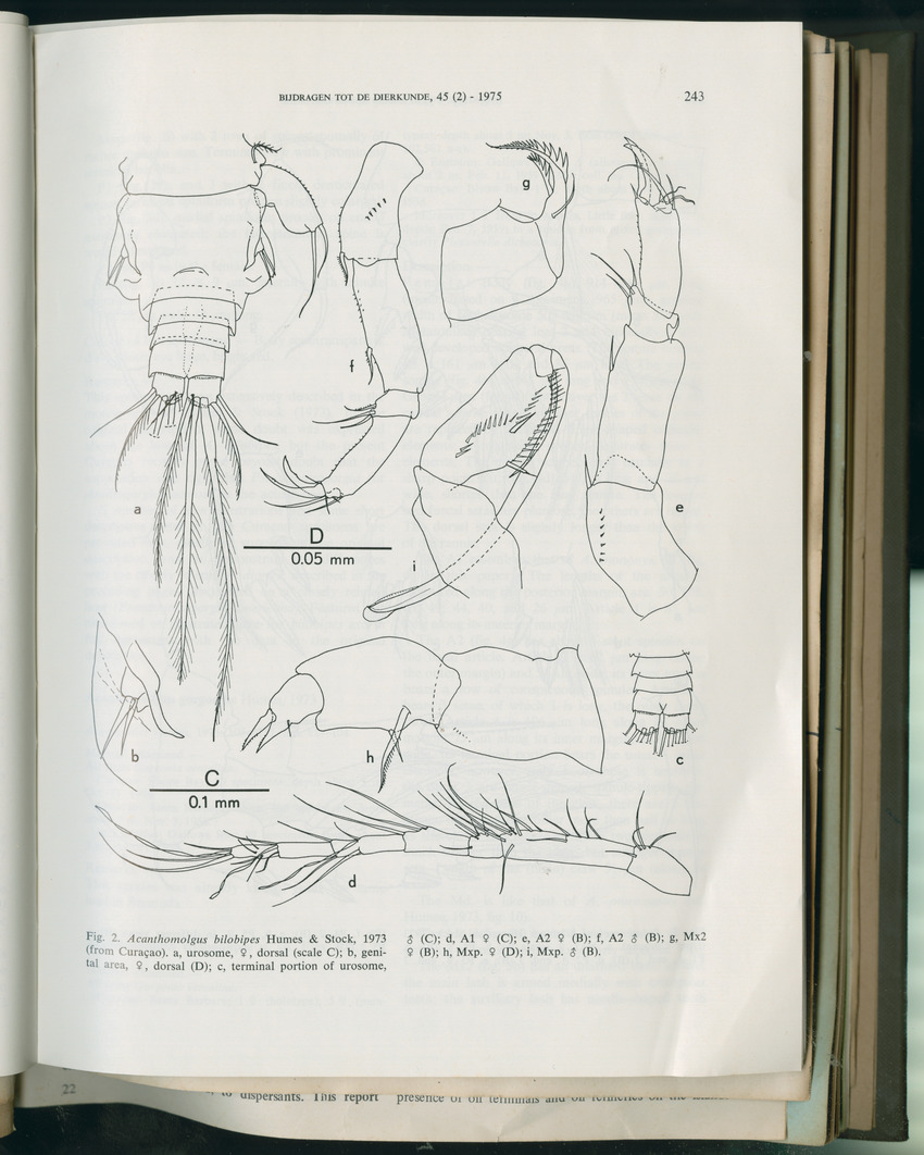 Carmabi Collected Papers Volume 11 - Nos. 170-193, 1975-1976 - Page 30