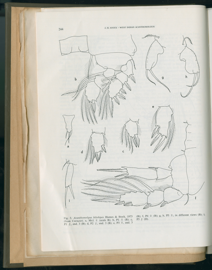 Carmabi Collected Papers Volume 11 - Nos. 170-193, 1975-1976 - Page 31