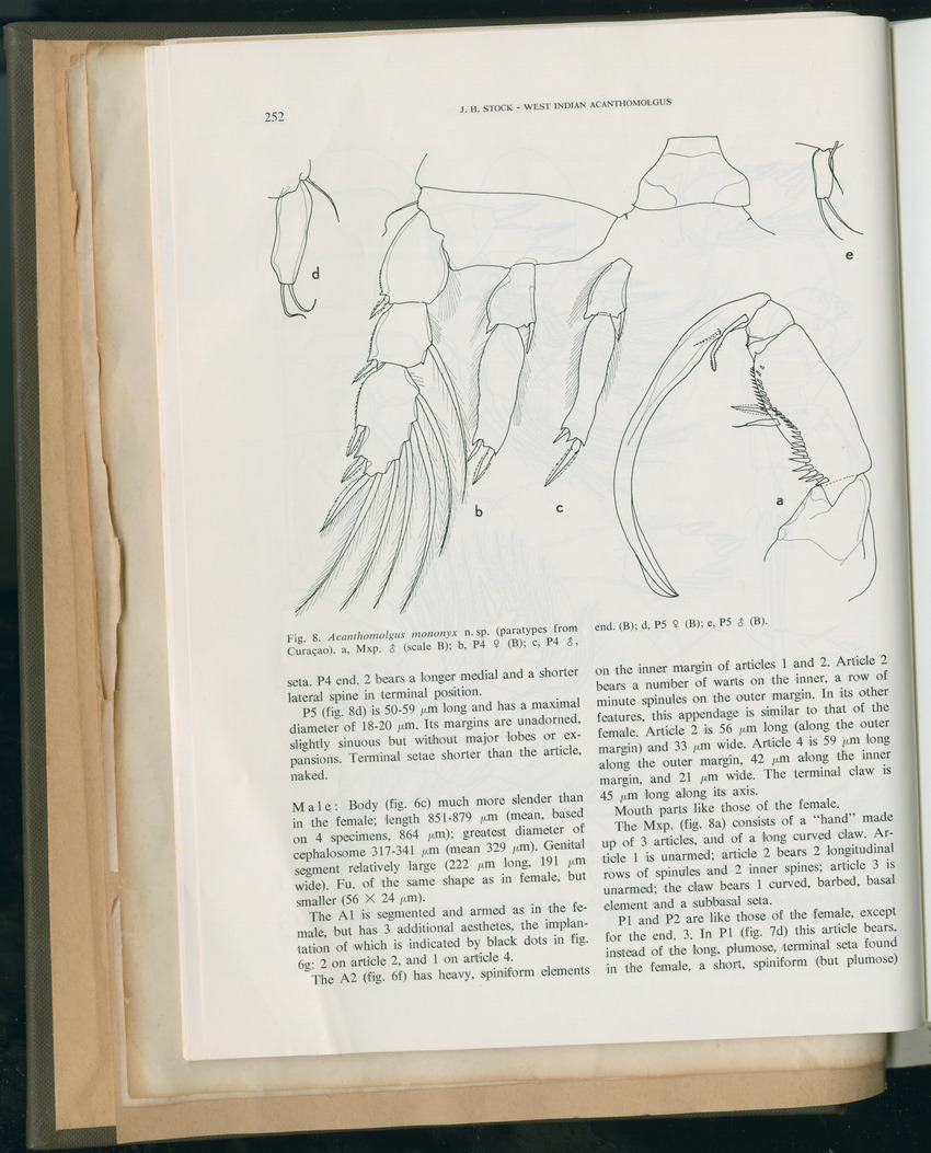 Carmabi Collected Papers Volume 11 - Nos. 170-193, 1975-1976 - Page 39