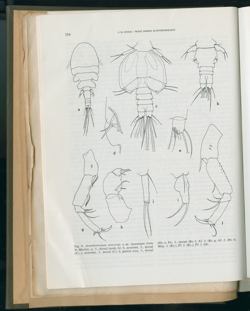 Carmabi Collected Papers Volume 11 - Nos. 170-193, 1975-1976 - Page 41