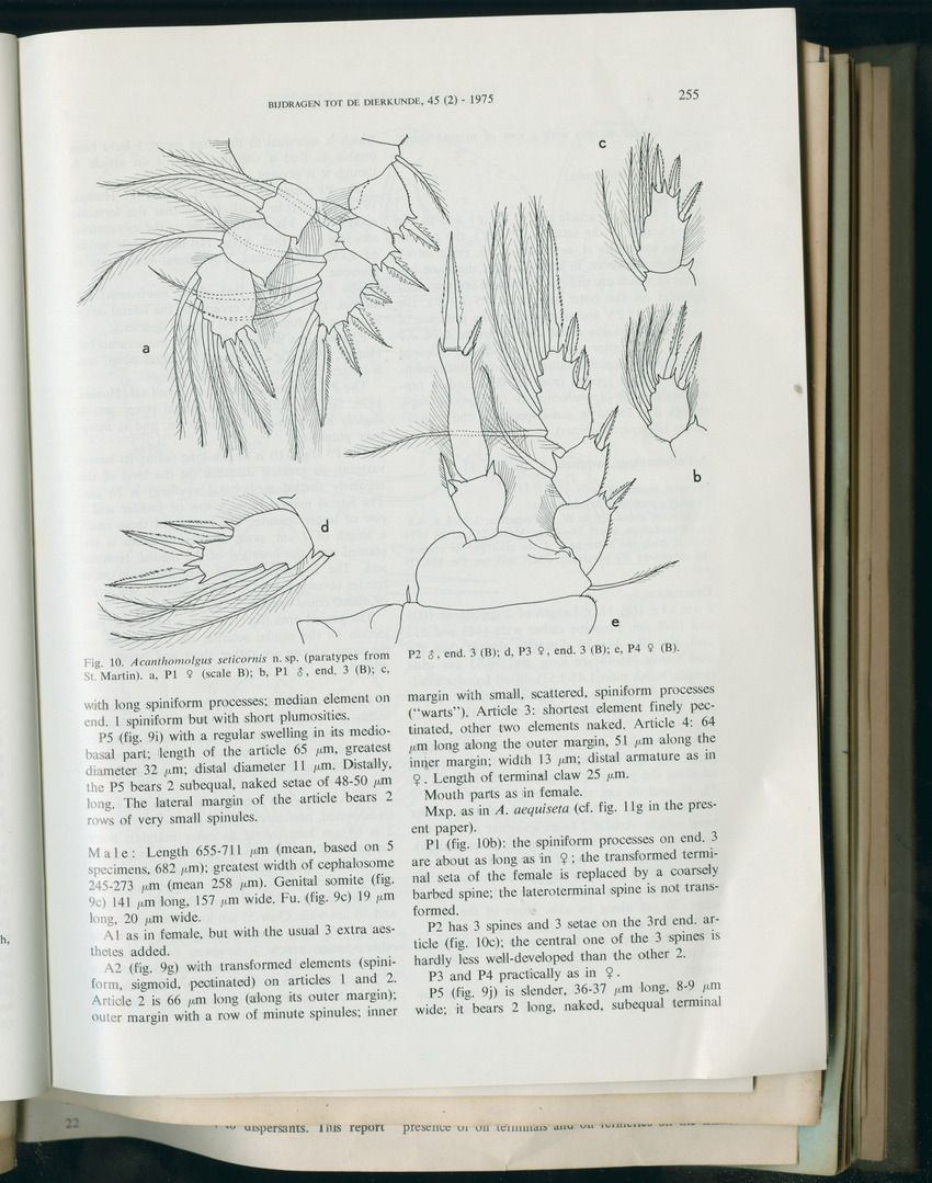 Carmabi Collected Papers Volume 11 - Nos. 170-193, 1975-1976 - Page 42