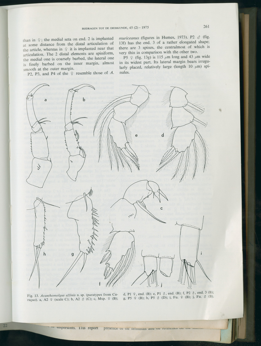 Carmabi Collected Papers Volume 11 - Nos. 170-193, 1975-1976 - Page 48