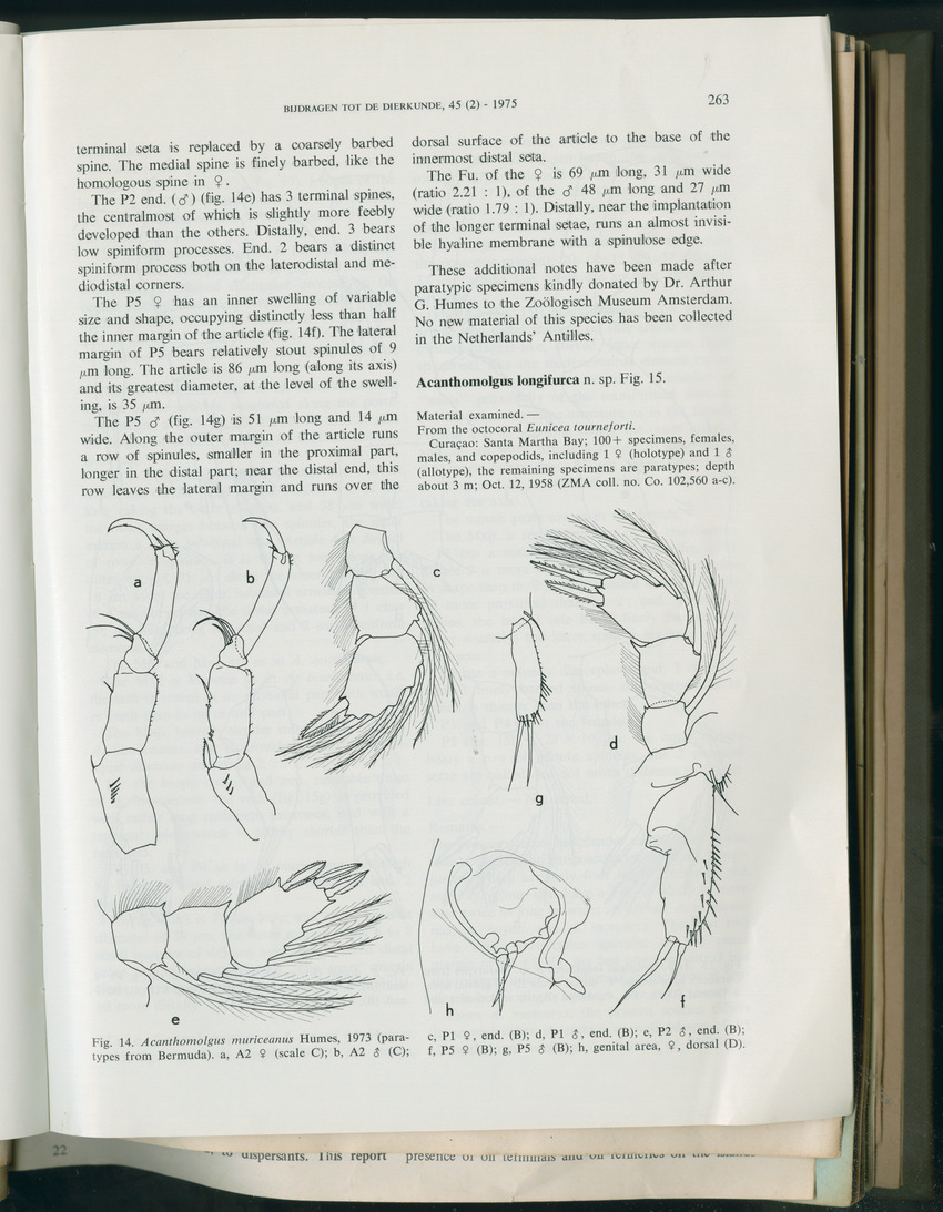 Carmabi Collected Papers Volume 11 - Nos. 170-193, 1975-1976 - Page 50