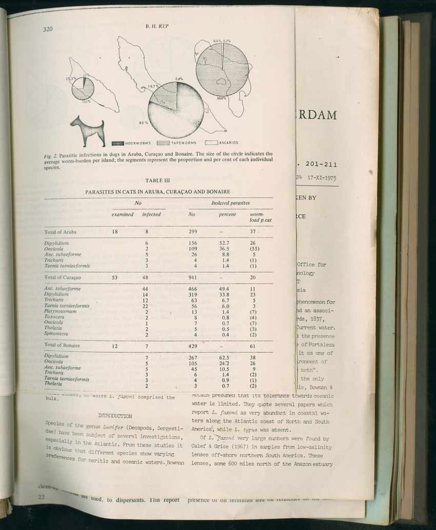 Carmabi Collected Papers Volume 11 - Nos. 170-193, 1975-1976 - Page 65