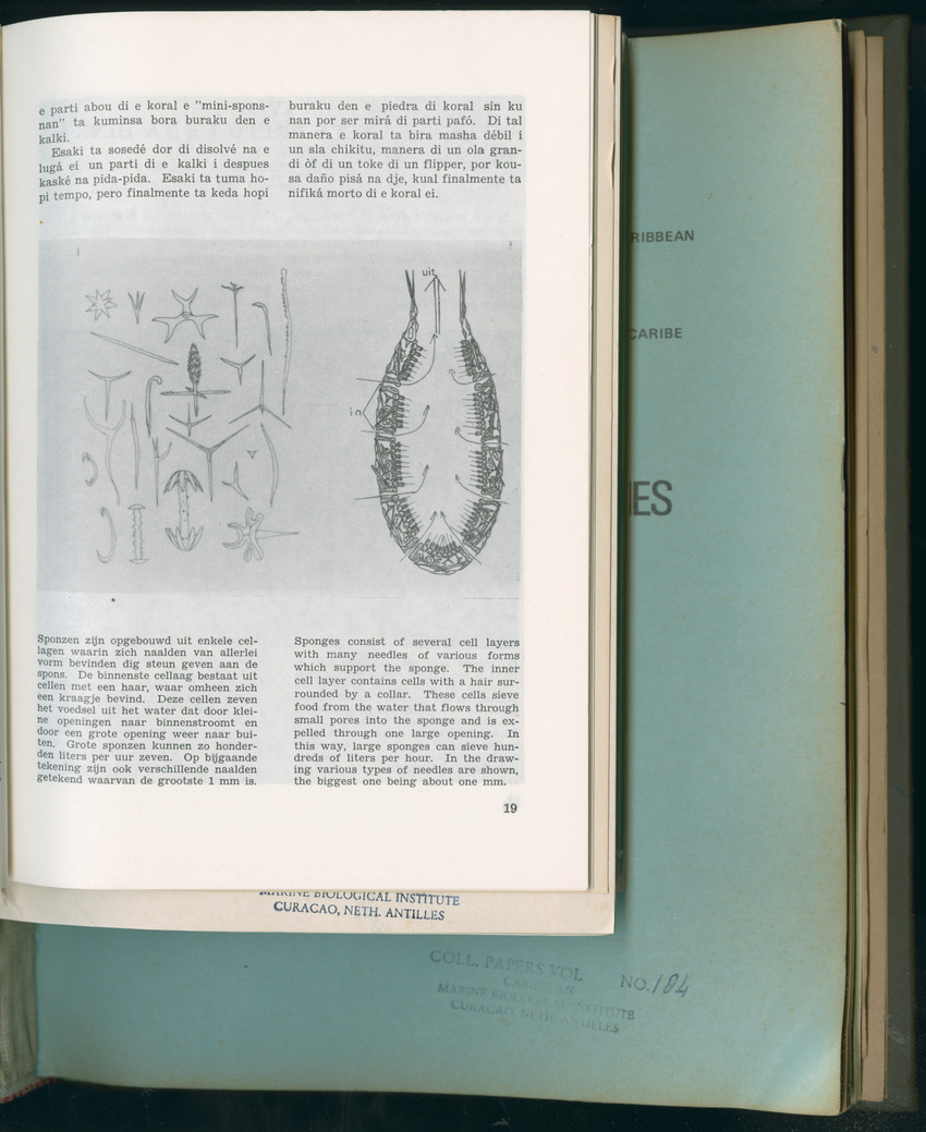 Carmabi Collected Papers Volume 11 - Nos. 170-193, 1975-1976 - Page 131