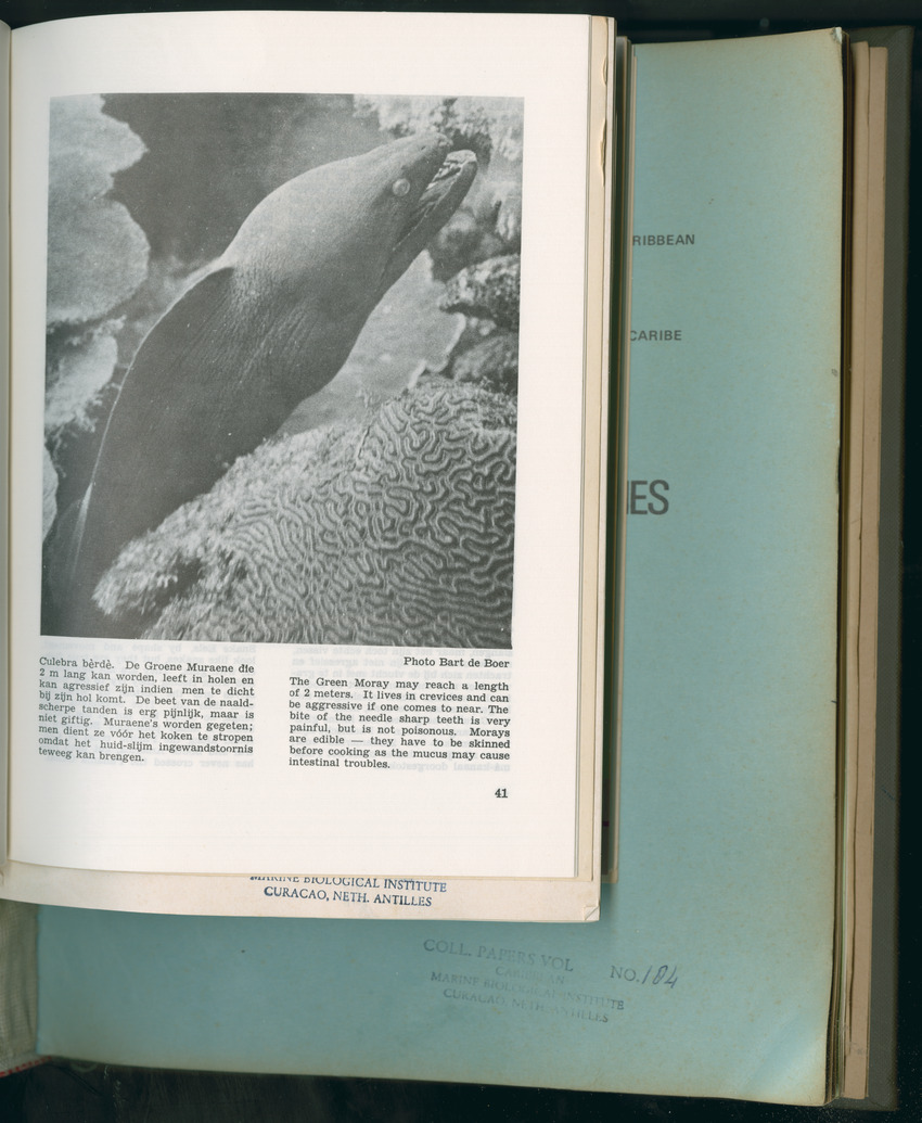 Carmabi Collected Papers Volume 11 - Nos. 170-193, 1975-1976 - Page 153