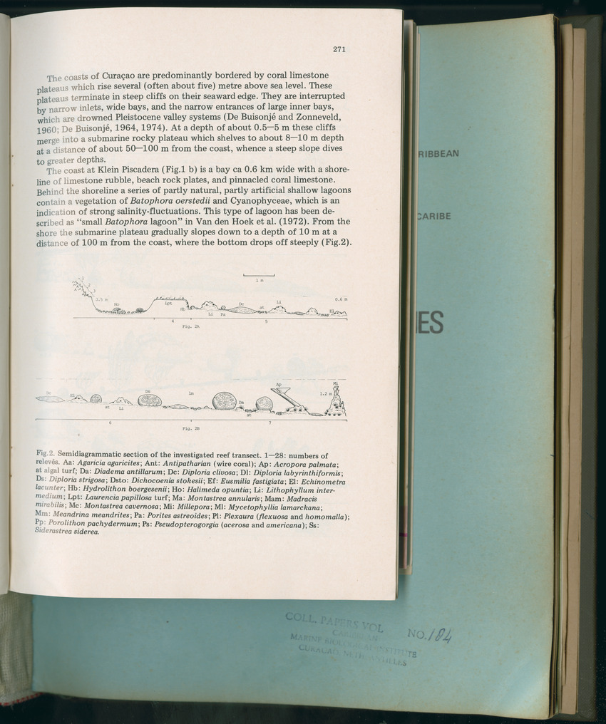 Carmabi Collected Papers Volume 11 - Nos. 170-193, 1975-1976 - Page 169