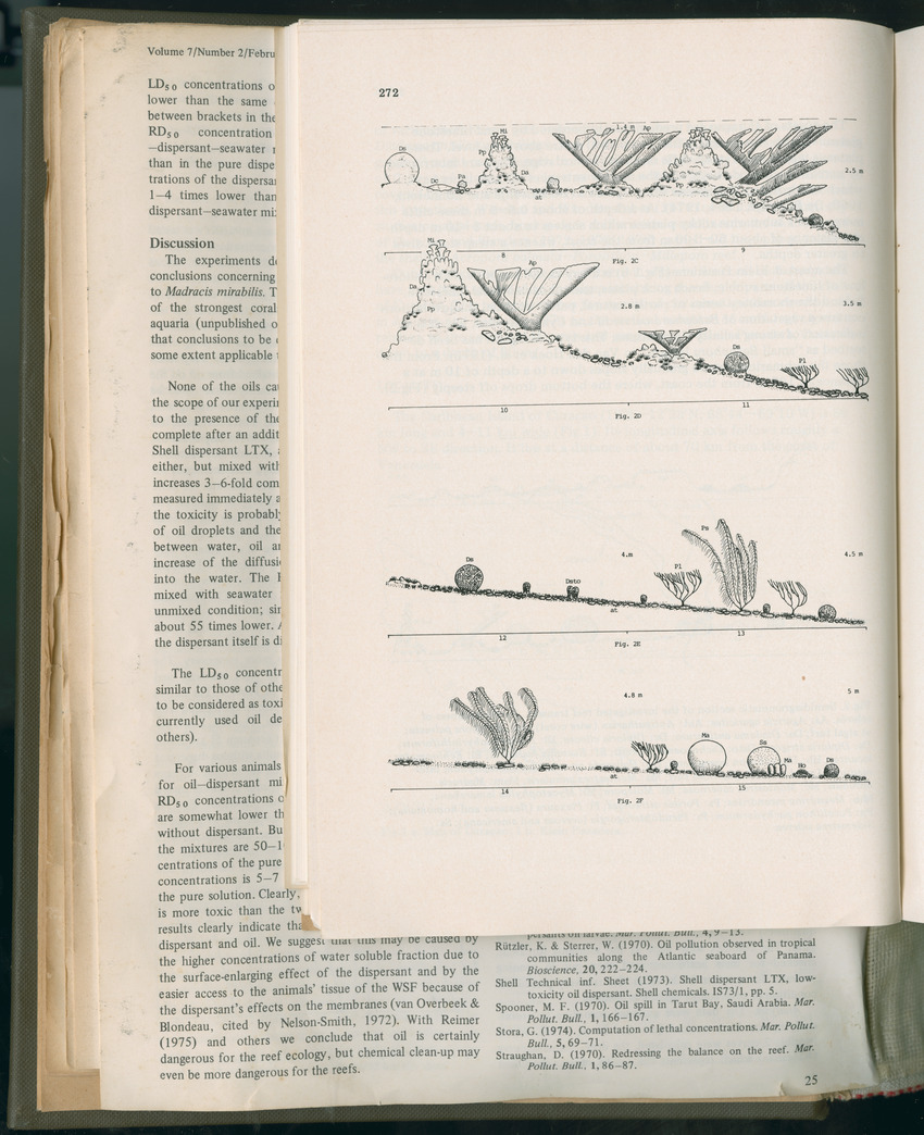 Carmabi Collected Papers Volume 11 - Nos. 170-193, 1975-1976 - Page 170