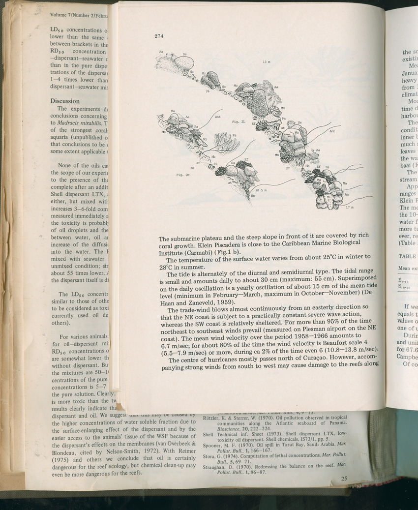 Carmabi Collected Papers Volume 11 - Nos. 170-193, 1975-1976 - Page 172